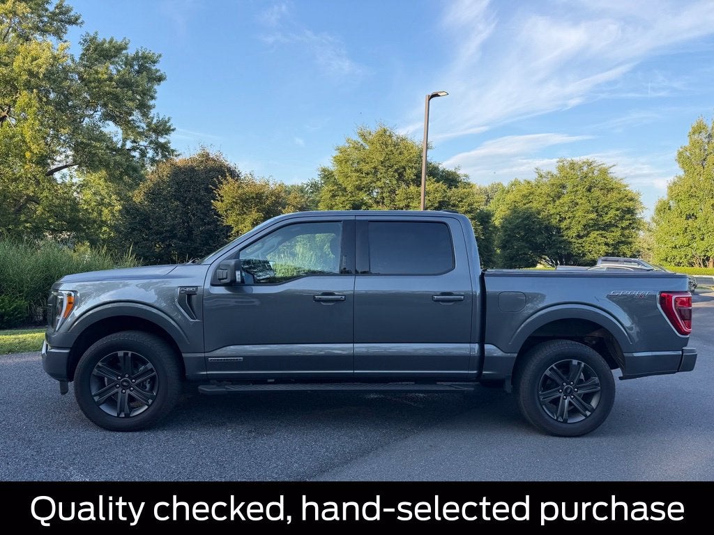 2023 Ford F-150 XLT