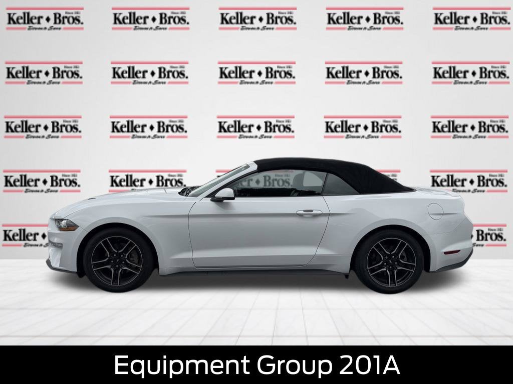 2019 Ford Mustang EcoBoost Premium