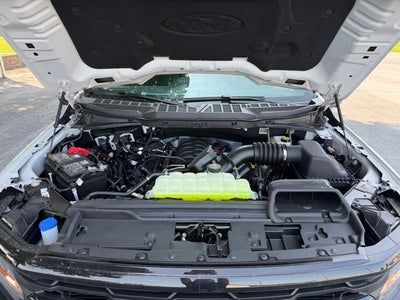 2026 Ford F-150 XLT Dark Trail